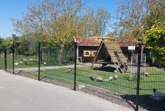Boerderijcamping De Koehoorn3